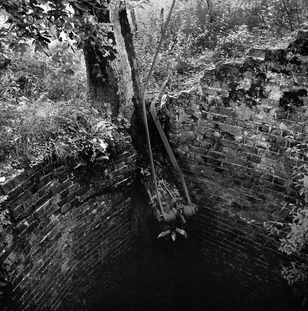 Bronfloyd Shaft 1985 now junk filled 2024, submitted by Dickie Bird on 14-03-2026.
© Richard Bird Bronfloyd Shaft 1985 now junk filled 2024